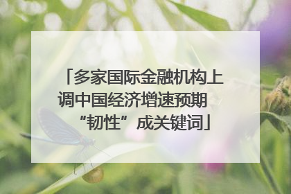 多家国际金融机构上调中国经济增速预期 “韧性”成关键词